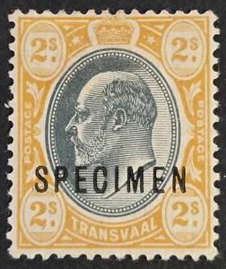 TRANSVAAL 1903 Mint Hinged 2/- Grey Black & Yellow SG #257 S SPECIMEN - Picture 1 of 2