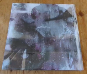Indigo Mist - That The Days Go By And Never Come Again (LP Album 2014) NEW - Picture 1 of 2
