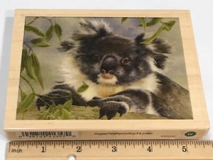 Großer KOALA Tier Stempel von SUGARLOAF - Bild 1 von 2
