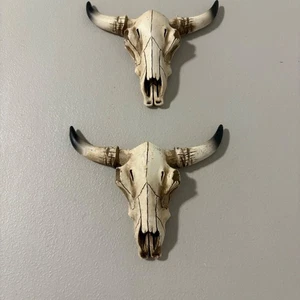 Set 2 corna testa di toro rustica teschio mucca decorazione parete western boho chic sud-ovest - Foto 1 di 6
