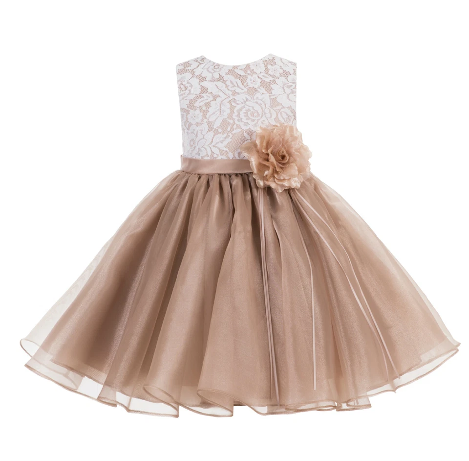 Lace Flower Girl Dress Pageant Dress Formal Toddler Dresses Graduation Dresses - Image 1 of 1