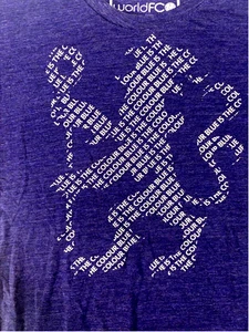 World FC T-shirt Men's Size M Blue Graphic Tee - Picture 1 of 8