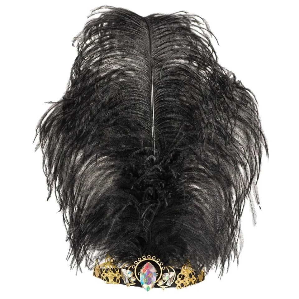 Once Upon A Time - Tiara de plumas negras con joyas de colección Amscan - Accesorio para disfraces Foto 1 de 1