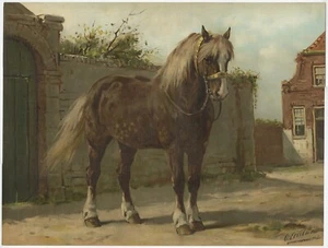 Antique Oleograph of a Zeeland Horse - Picture 1 of 1