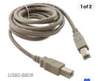 6ft USB Type-B Male to USB Type-B Male USB 2.0 Cable, CablesOnline USB2-BB06