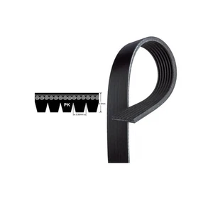 Cinturón en V de repuesto de microcinturón 8PK1158 multi ranura/polietileno V - Ford Mustang - Imagen 1 de 1