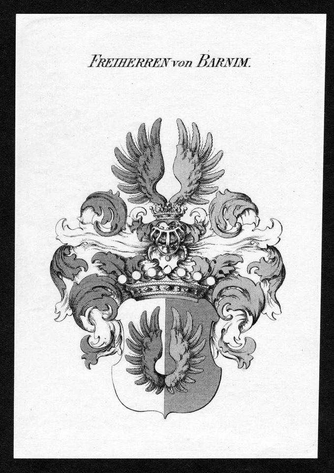1820 - Barnim Wappen Adel coat of arms heraldry Heraldik Kupferstich - Bild 1 von 1