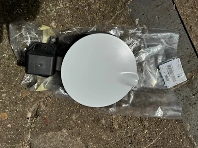 Tapa de combustible Vauxhall Corsa E 14-18 tapa del tanque de llenado puerta nuevo Opel genuino 013444788 Foto 1 de 4