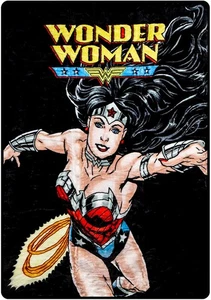 Wonder Woman Throw Blanket - Soft Fluffy & Warm - 60"x80" - Machine Washable - Picture 1 of 4