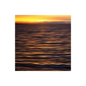 Stampa su Tela su Carta Poster o Quadro Plank Savanah USA, Southeast Alaska, Ket - Picture 1 of 2