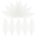  100 pièces signet fleur séchée spécimen feuille de magnolia floral artificiel