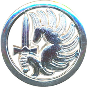 Insigne de Béret, LEGION ETRANGERE PARACHUTISTES, finition brillante,Drago(1535) - Imagen 1 de 2