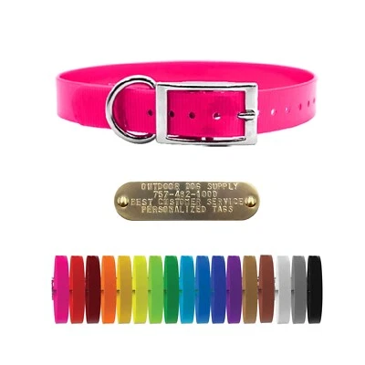 Coleira de cachorro anel D brilho premium sólido 1" com placa de identificação de latão - Imagem 1 de 3