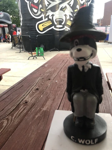 NIB 2018 ERIE SEAWOLVES C WOLF HARRY POTTER BOBBLEHEAD SGA Sorting Hat Cover