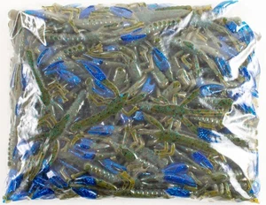 ZOOM LIL CRITTER CRAW 100 PACK BULK 3" 014-293 GRN PUMPKIN BLUE/BLUE CLAW DM1420 - Picture 1 of 2
