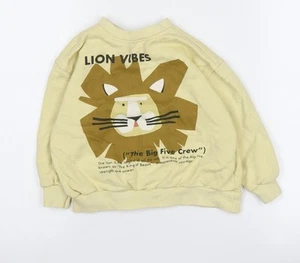 Zara Boys Beige Graphic Print Sweatshirt 2-3 Years Pullover - Picture 1 of 12