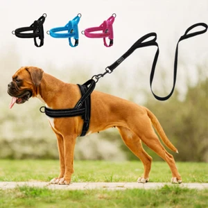Reflective No Pull Dog Harness and Lead Set Nylon Front Leading Walking Harness - Picture 1 of 18