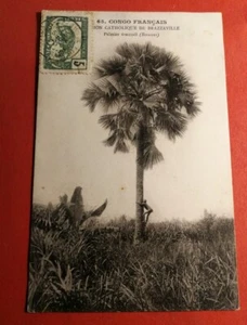 CPA - CONGO FRANCAIS Mission catholique de Brazzaville - Palmier éventail  - Imagen 1 de 2