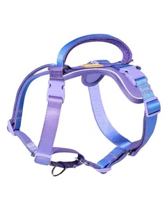 Freedom No Pull Martingale Dog Harness, Gentle Control for No Choking, Front ... - Picture 1 of 5