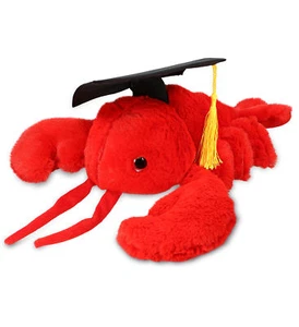 PLUSH GRADUATION - SUPER SOFT PLUSH - ELEGANT RED LOBSTER - Picture 1 of 6