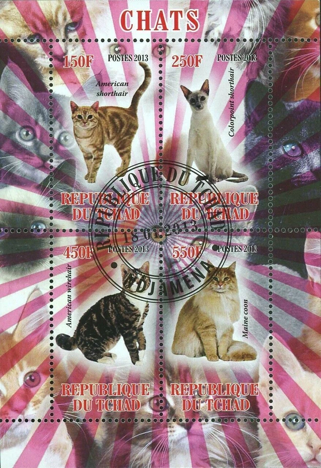 Cat Stamp American Shorthair Wire hair Maine Coon Souvenir Sheet of 4 Stamps - Image 1 of 4