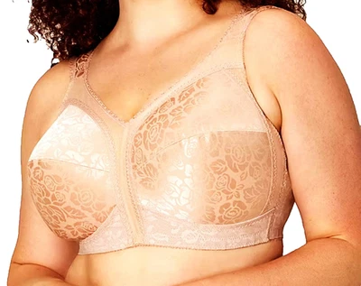 PLAYTEX 18 HORAS BEIGE ELÁSTICO SATINADO TAZAS SIN CABLES ACOLCHADO CORREAS SUJETADOR 48C USADO EN EXCELENTE ESTADO Foto 1 de 4