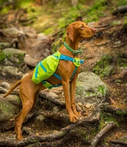 Crest Stone Large Green Outward Hound Crest Stone Explore Dog Pack Vest - Picture 1 of 5