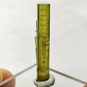 1.32g Green Yellow Tourmaline Crystal Natural Mineral Specimen Green Cap 29.5mm - Picture 1 of 10