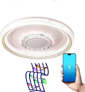 Ceiling Light, 19" LED RGB Light with Bluetooth Speaker, Dimmable Lighting - Picture 1 of 6