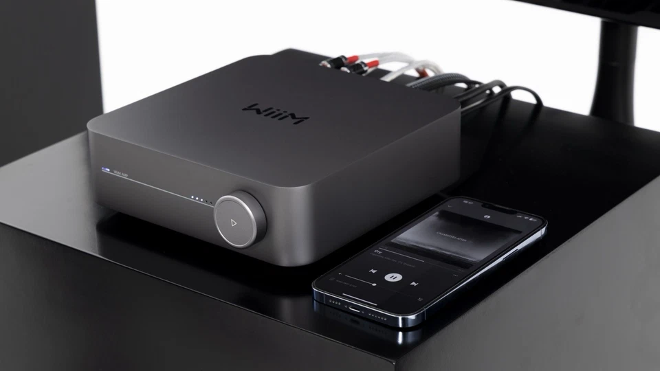 Hi-Res Streaming Hifi Amplificatore Wiim Amp Grau Spotify Tidal Deezer Bluetooth