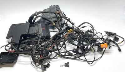 Arnés de cableado del motor principal dañado telar de cable del motor 2001 BMW K1200LT OEM Foto 1 de 4