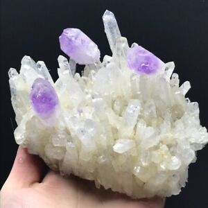 807G Natural Clear Quartz and Amethyst Quartz Cluster Crystal Mineral Specimen