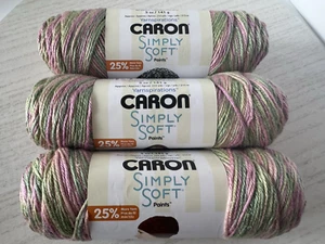 Caron Simply Soft Paints Worsted Weight Yarn~Lot of 3 Skeins~Rose Garden 21002 - Picture 1 of 5