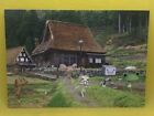 Dokodemo Issho Toro Inoue Post Card 2003 Sony Not For Sale  Very Rare Countrysid