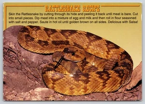 Recetas de serpiente de cascabel para cocinar alimentos para hornear - Imagen 1 de 2