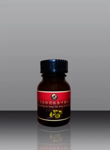 TCM ORGANKREIS-LEBER NIERE HERZ: ORIG. GINKGO Pulver - Bild 1 von 1