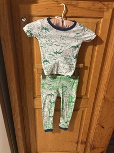 Dinosaurier Shirt und Hose, 2t, handgefärbt Karynjamiedesigns, Baumwolle, 2 Stück - Bild 1 von 6