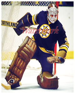 NHL Goalie Gerry Cheevers Boston Bruins Game Action Color 8 X 10 Photo Picture