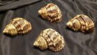 Set of 4 Turbo Shell Seashell  Napkin Rings / Holders  Nautical