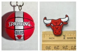 Chicago Bulls NBA Basketball Keychain Shoe Charm - Picture 1 of 3