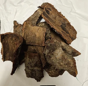 EPO Obo Sticks Ficus Platyphylla Anti-Witchcraft Tree Bark 100% Organic - Picture 1 of 1