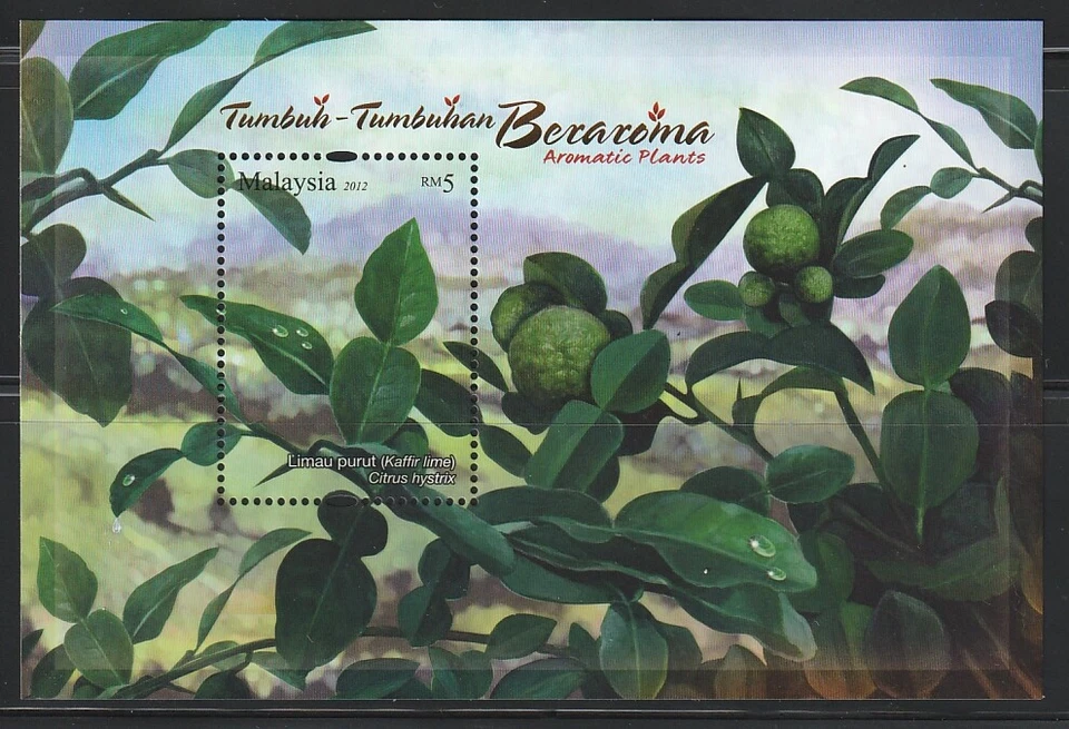 Malaysia   2012   Sc #  1395   Aromatic Plants   s/s      MNH - Image 1 of 1