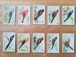 Church & Dwight-Useful Birds..Third series (SMALL)-Full set of 30, all same var. - Picture 1 of 7