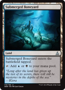 Submerged Boneyard Oath of the Gatewatch - MTG - Picture 1 of 3