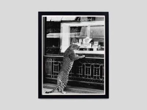 Vintage Fotografie Gepard Druck Schwarzweiß Modedruck, Panther Schmuck - Bild 1 von 3