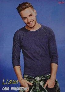 LIAM PAYNE - A3 Poster (ca. 42 x 28 cm) - One Direction Clippings Sammlung - Imagen 1 de 1