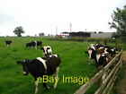 Photo 6x4 Top Farm Tiffield Minutes before the herd of cows all ran towar c2007