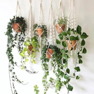 Canasta de yute verde planta colgante cuerda de algodón maceta hecha a mano macramé - Imagen 1 de 44