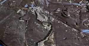10kg Bulk Cacao Ceremonial Grade Organic Peruvian - Picture 1 of 1