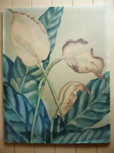 ROSEBUD LANE, LISTED, Early California RARE CALIF CA WATERCOLOR BOTANICAL FLORAL - Picture 1 of 10